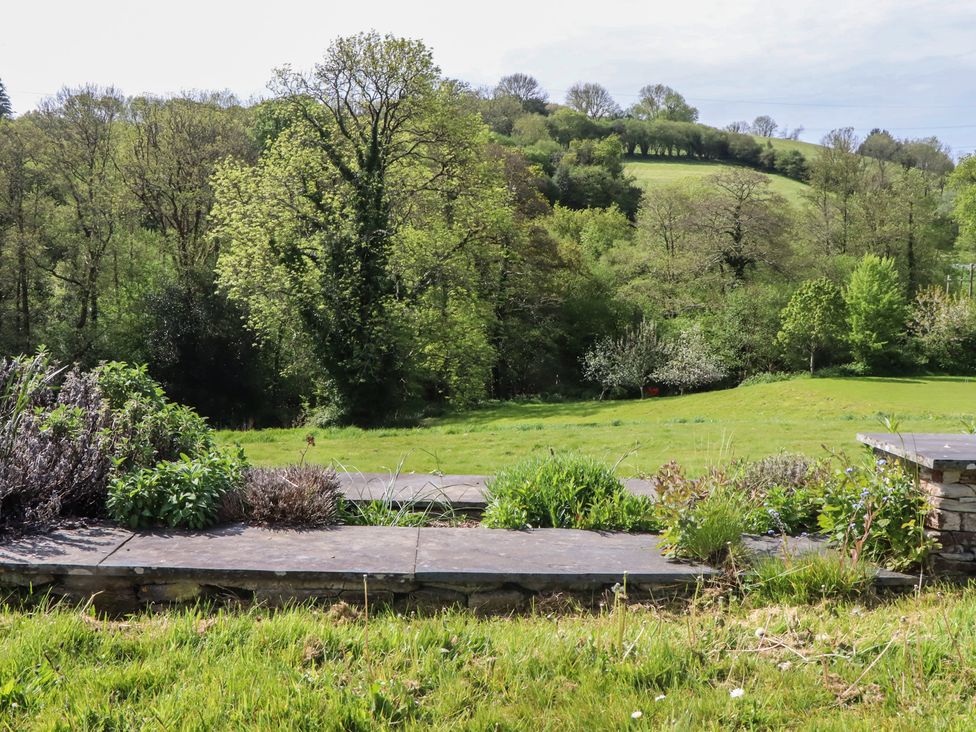 A garden with plants and trees at Lower Velwell Barn in Totnes