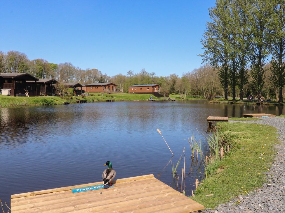 A view of a pond with wooden cabins at Butterfly Hut 1 Forton near Garstang