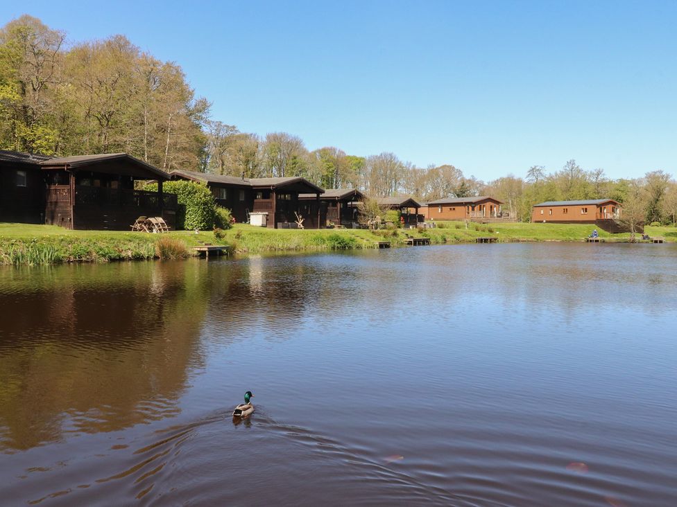 A view of cabins by a lake with trees at Butterfly Hut 1 Forton near Garstang