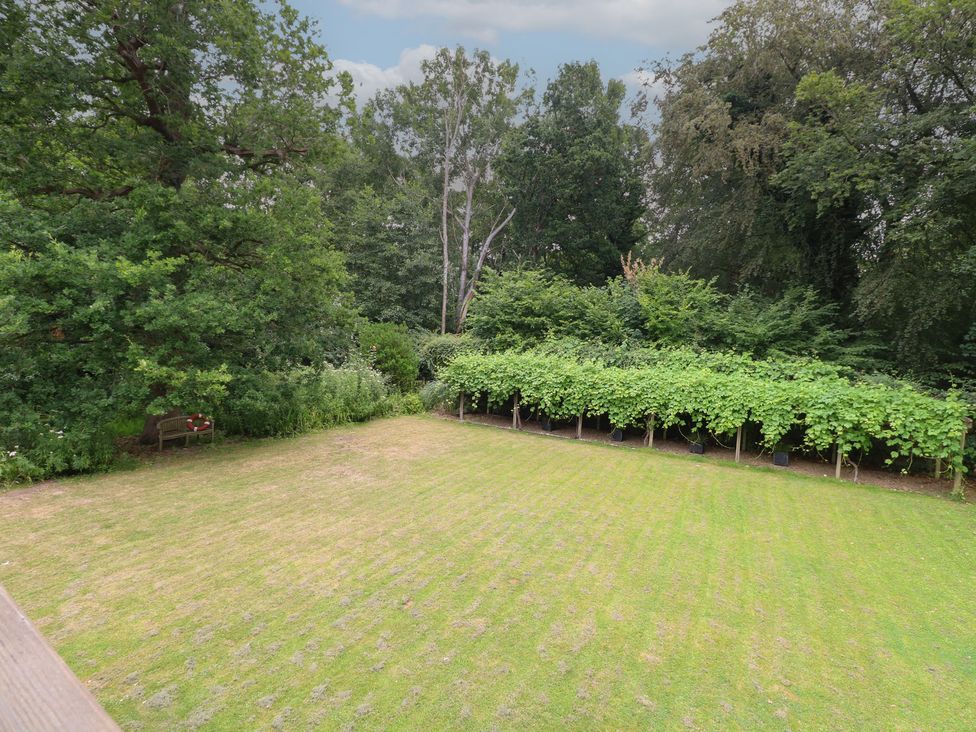 A garden with grass and grapevines at The Anchorage in Hoveton & Wroxham