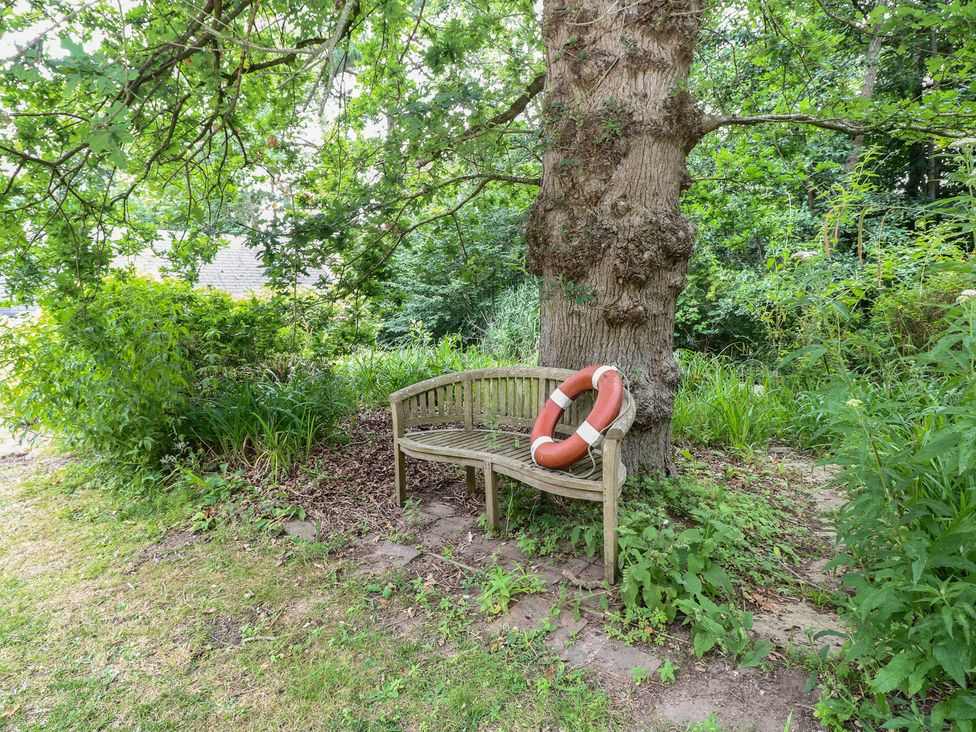 A bench with a lifebuoy next to a tree in a garden at The Anchorage in Hoveton & Wroxham