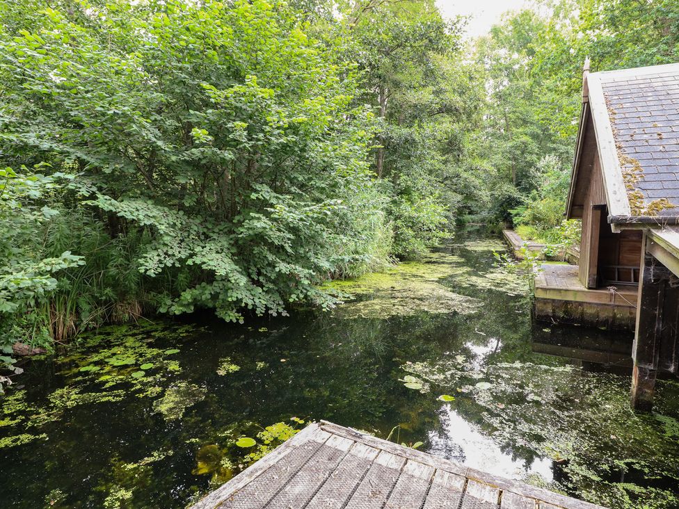 A water view with plants and a wooden dock at The Anchorage in Hoveton & Wroxham