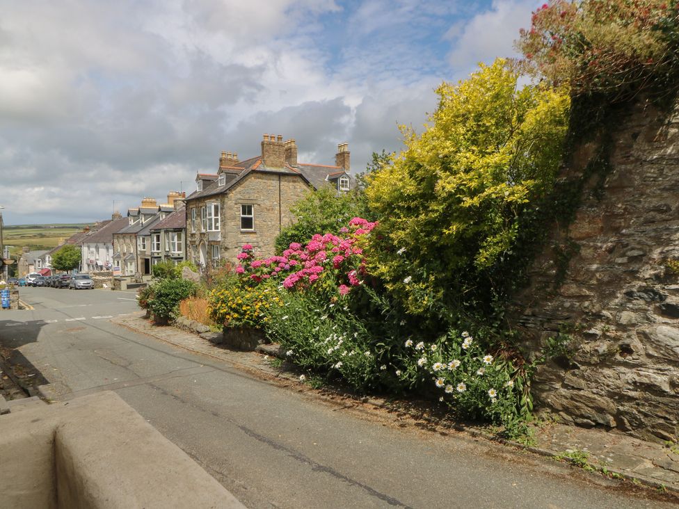 A street with houses and flowers in Newport, Pembrokeshire