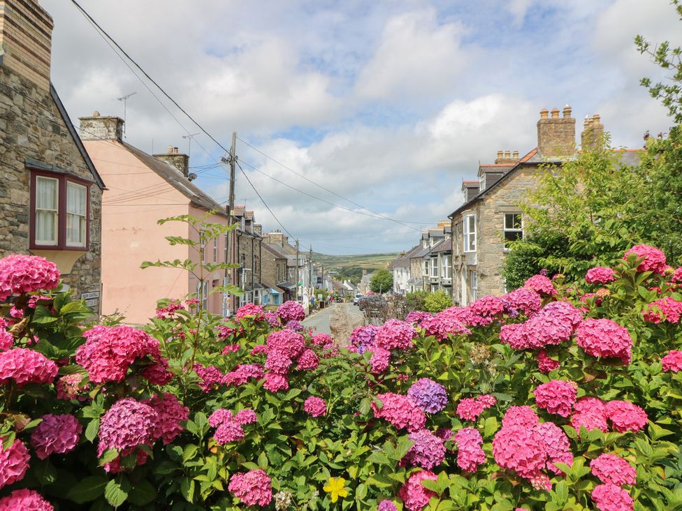 A street scene with flowers and houses at St John's House Newport, Pembrokeshire