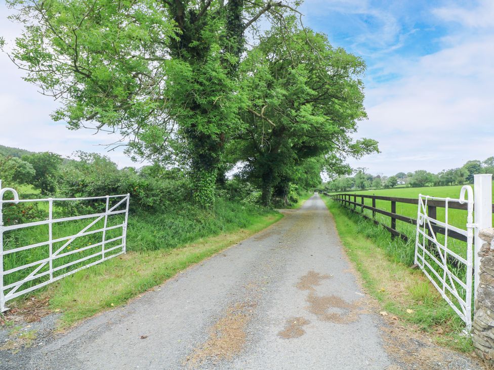 A dirt road with trees and a white gate at The Lodge in Gorey, County Wexford