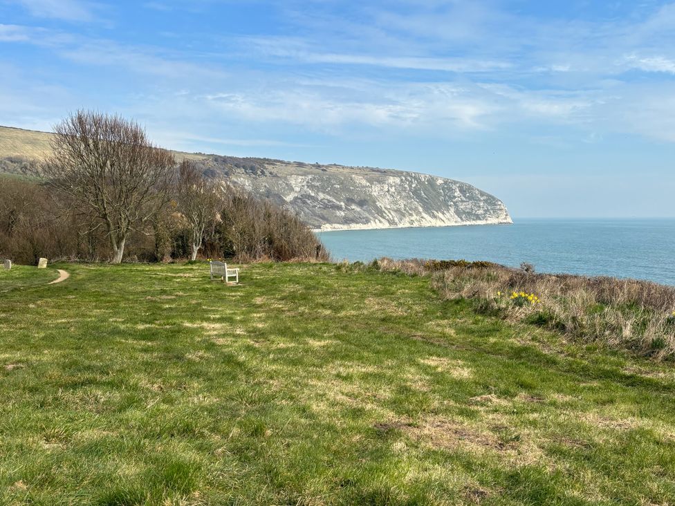 A grassy area with trees and a bench overlooking the ocean at Purbeck Vista in Swanage