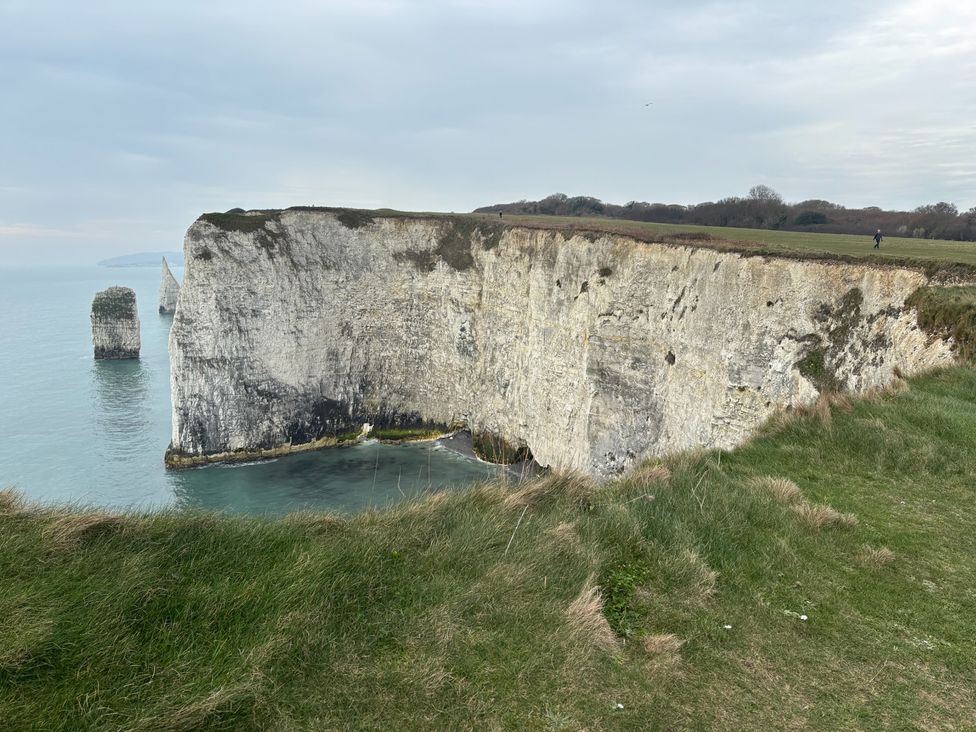 A cliff overlooking the ocean at Purbeck Vista in Swanage