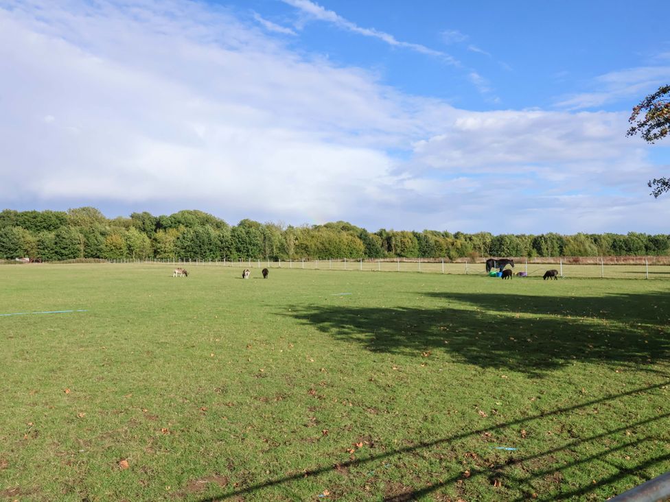 A field with grazing animals and trees at Hayloft in Ipswich