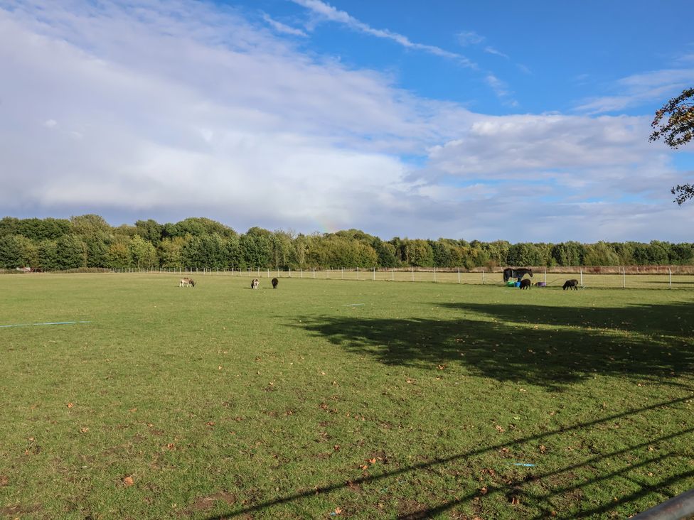 A field with horses grazing at Fisherman's Rest in Ipswich