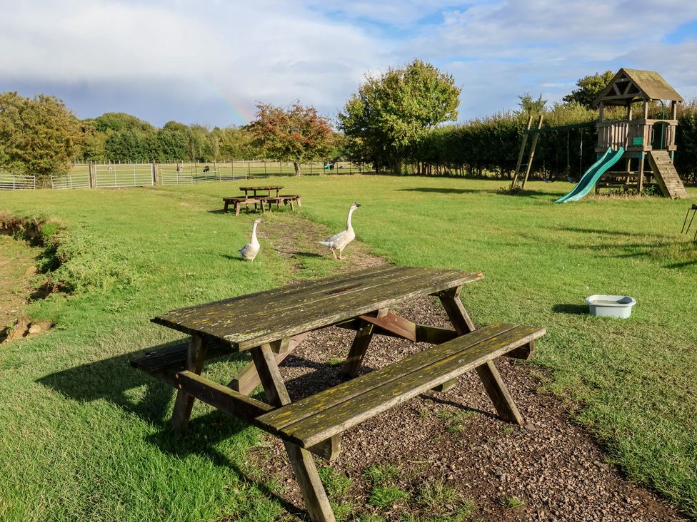 A picnic area with a table and goose at Wheelwright's Cottage Ipswich
