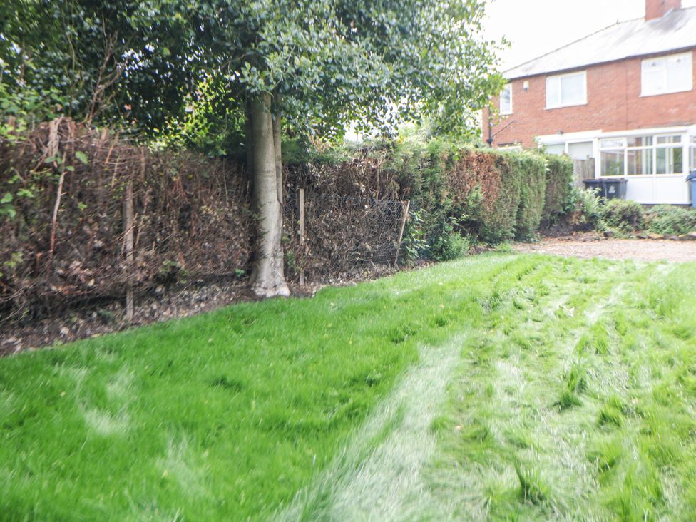 A garden with a tree and grass at 37 Berry Hill Lane in Mansfield