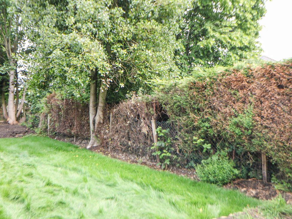 A garden with trees and hedges at 37 Berry Hill Lane Mansfield