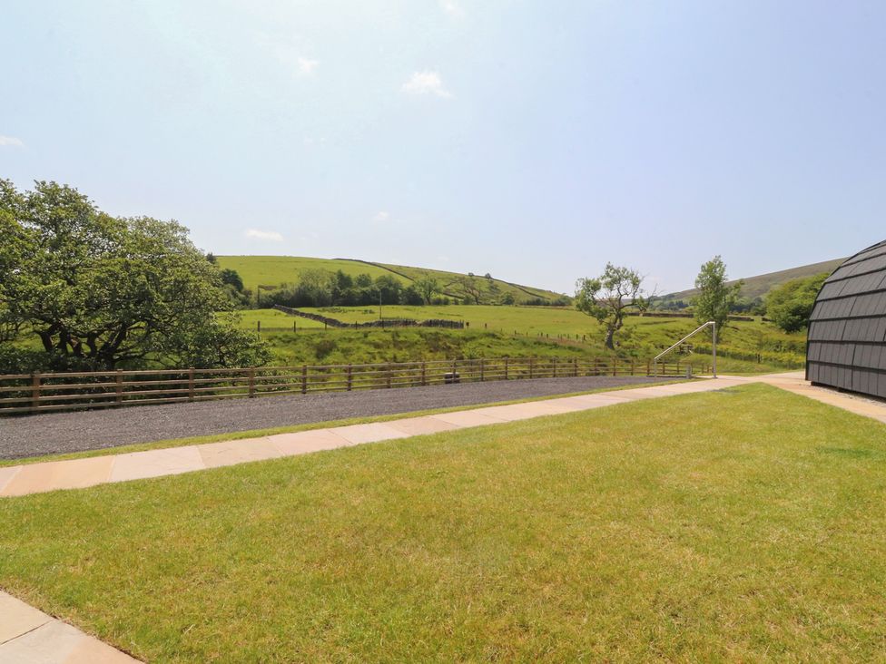 An outdoor area with grass and trees at Black Moss in Nelson