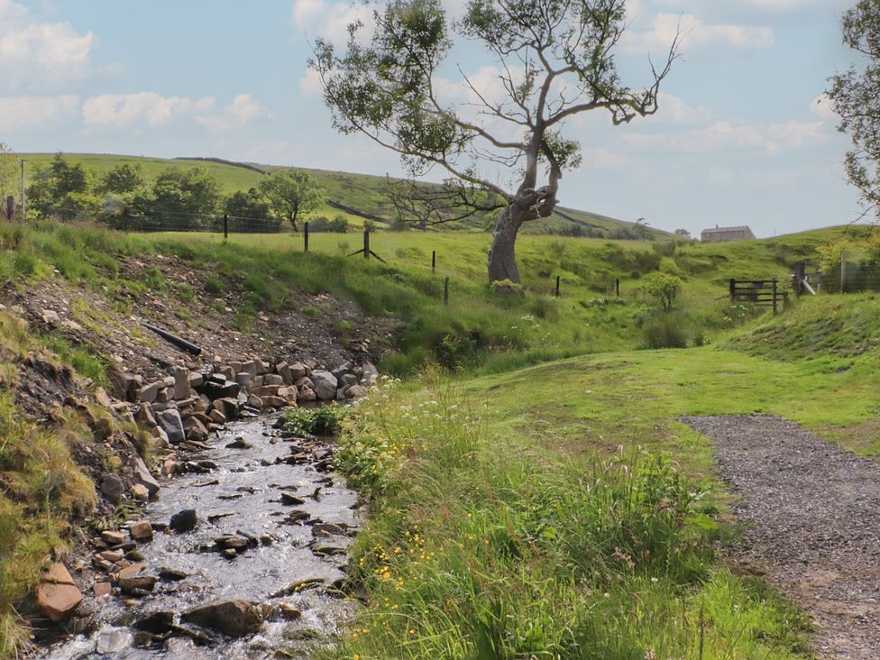A stream flowing through grassland with a tree and a gate at Black Moss in Nelson
