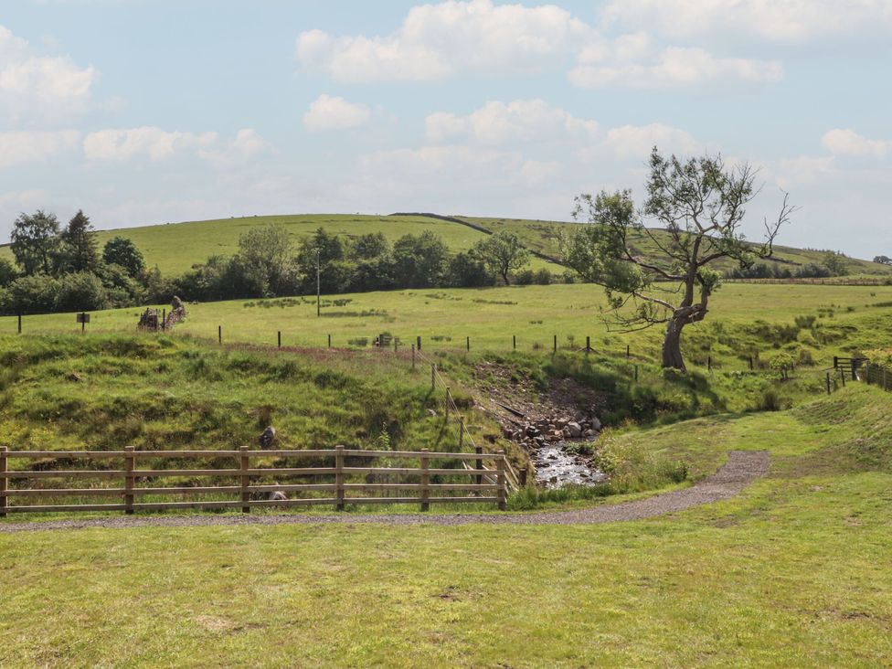 A landscape with a stream and trees at Ogden in Nelson