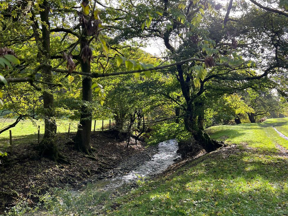 A stream flowing through trees with a path and grass at The Coach House in Little Stretton