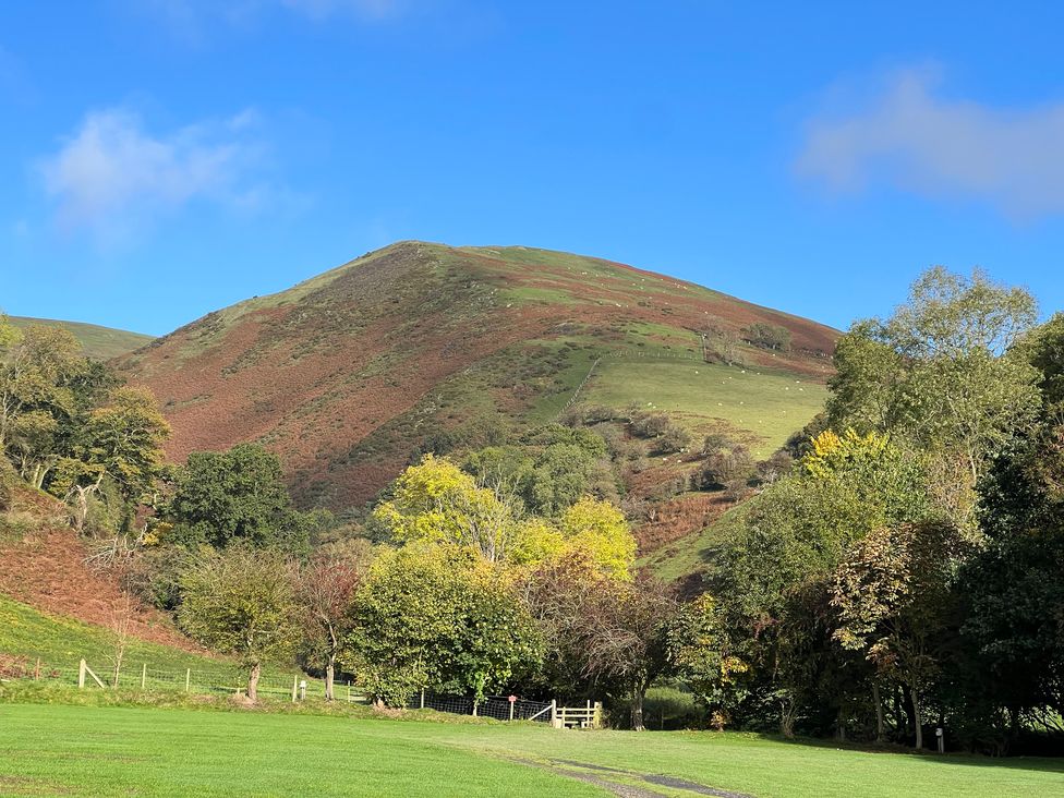 A hillside with trees and grass at The Coach House in Little Stretton