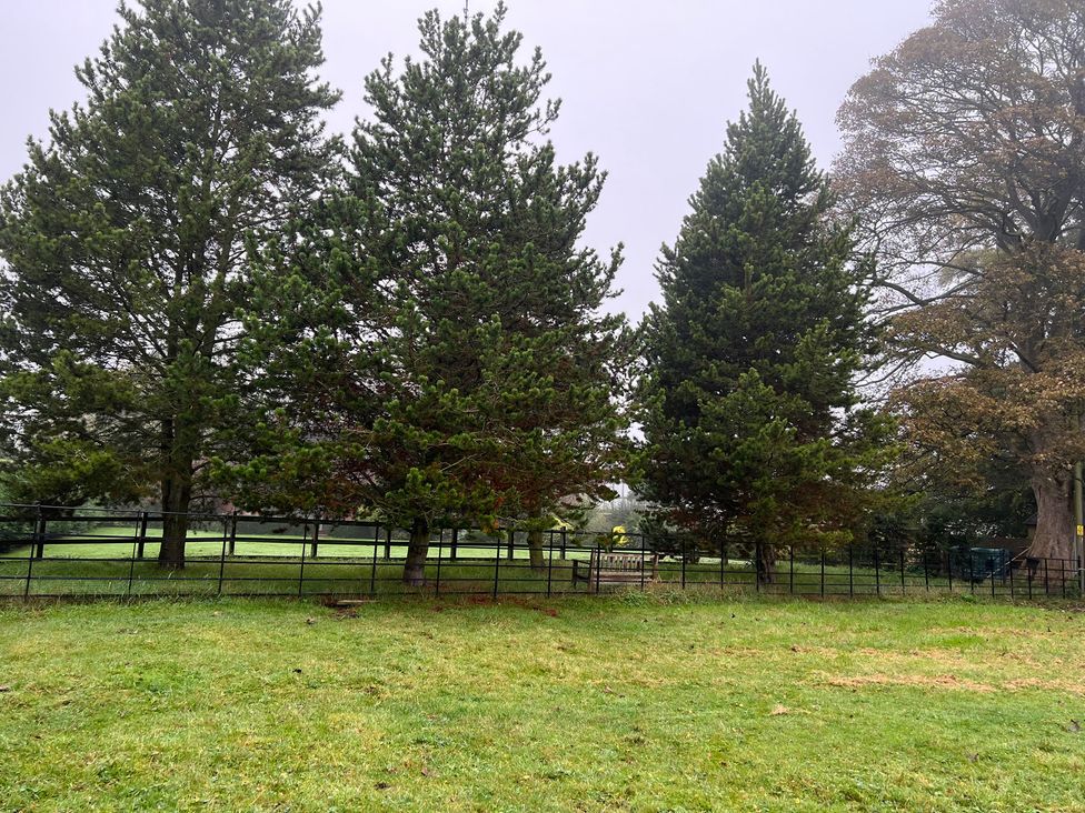 A view of trees and grass in an outdoor area at The Coach House in Little Stretton