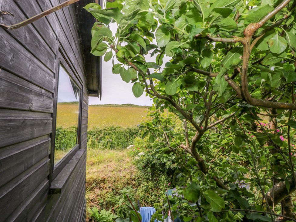 The Tree House - South Wales - 1177449 - thumbnail photo 20