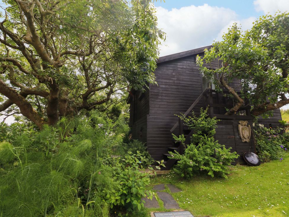 A garden with a wooden house surrounded by trees at The Tree House Nine Wells near Solva