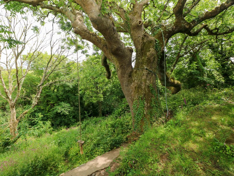 The Tree House - South Wales - 1177449 - thumbnail photo 23