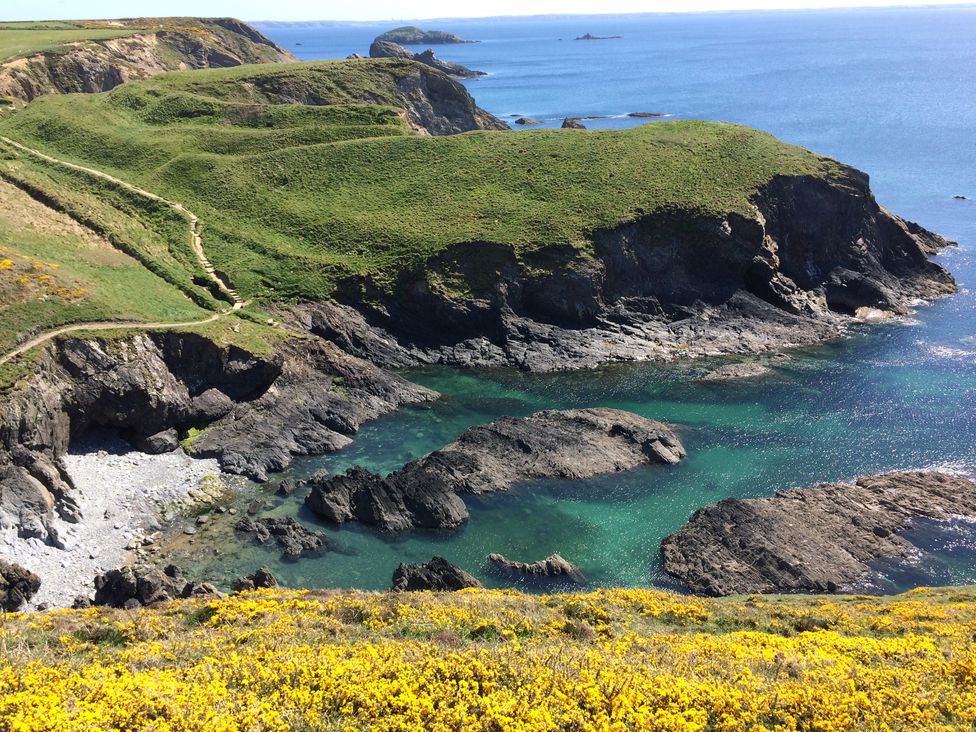 A cliffside view of water and shoreline at The Tree House Nine Wells near Solva