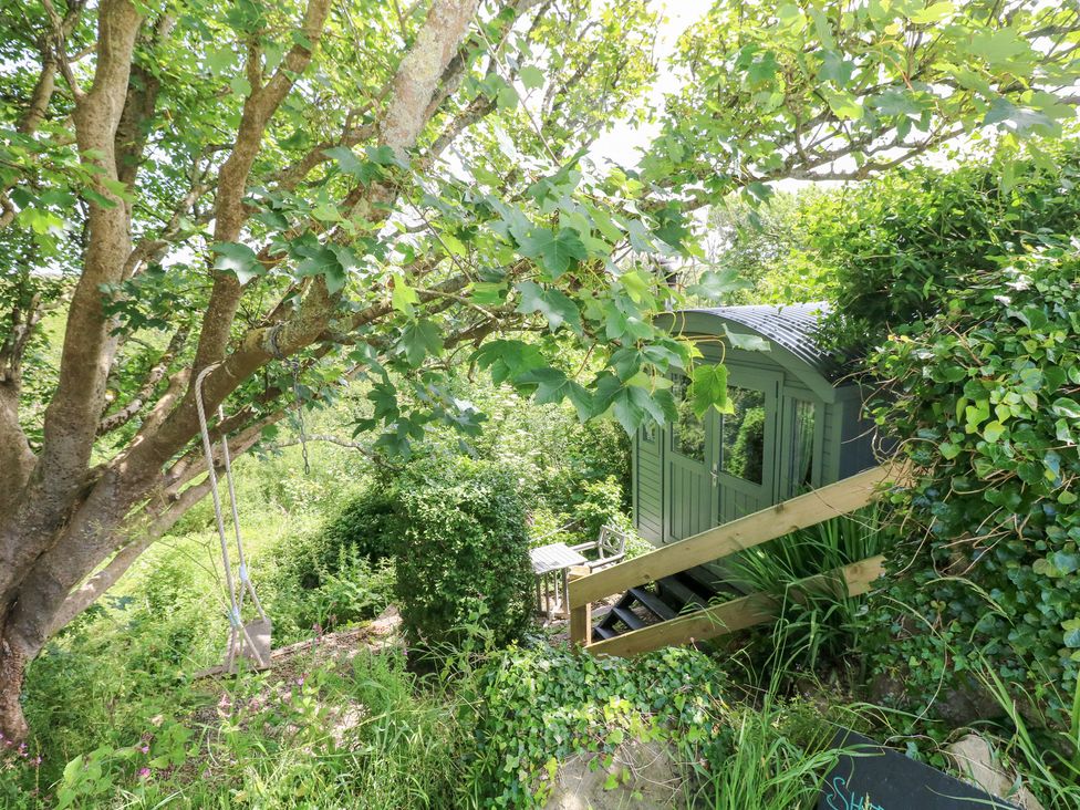 A hut surrounded by trees and greenery at The Shephard Hut, Nine Wells near Solva