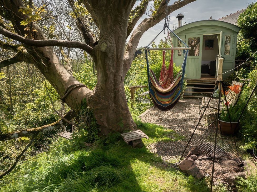 A tree with a hammock and cabin at The Shepherd Hut Nine Wells near Solva
