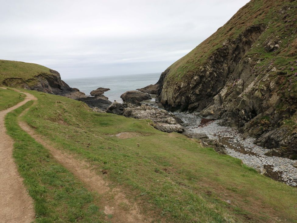 The Tiny House - South Wales - 1177458 - thumbnail photo 20
