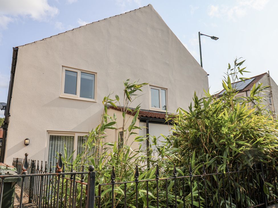 A house with windows and bamboo plants in front at 96 Church Street in Guisborough