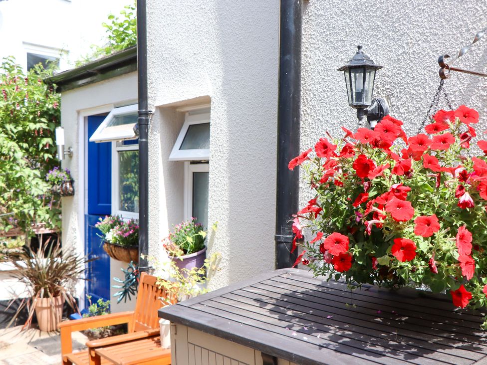 An outdoor area with flowers and a bench at Kenny Cottage in Dawlish