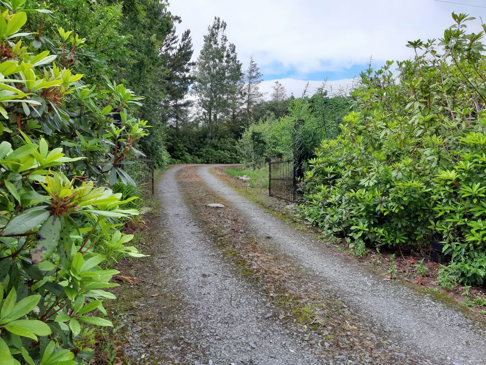 A gravel path between vegetation at Moynish Mor Mulranny in MULRANNY