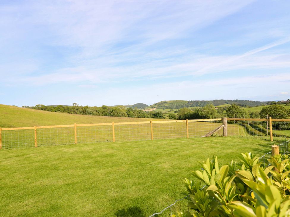 A grassy area enclosed by a fence and hills in the background at Defaid Cymreig in Oswestry