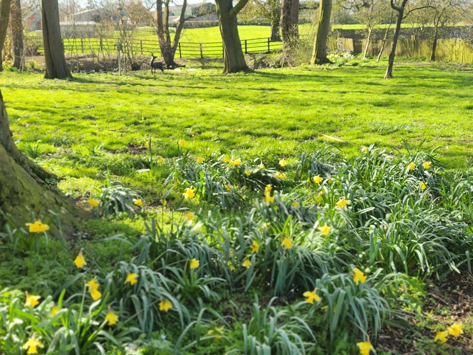 A garden with flowers and trees at Elstronwick Hall Apartment Elstronwick near Burton Pidsea