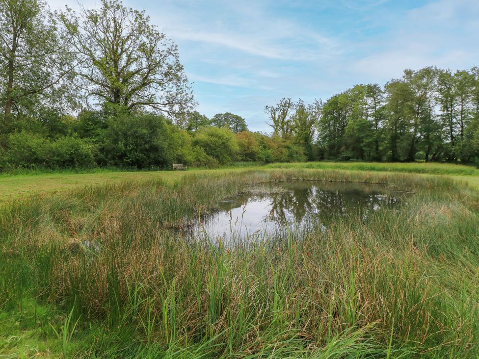 A pond surrounded by grass and trees at Silver Copse Frilford Heath Near Abingdon