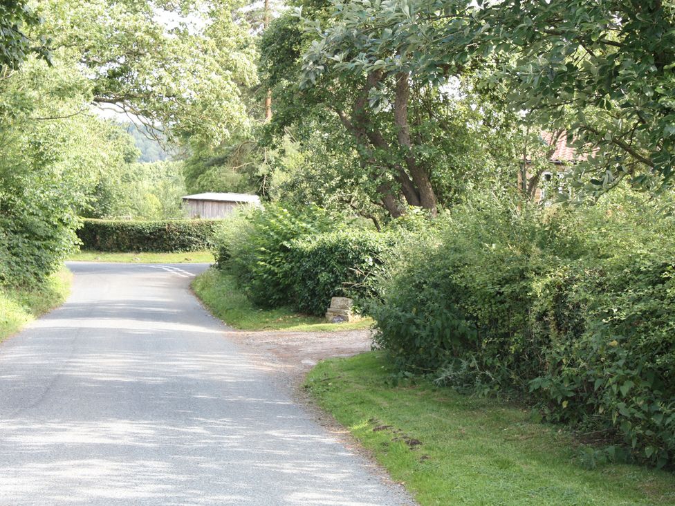 A road surrounded by bushes and trees at Apple Tree Cottage in York