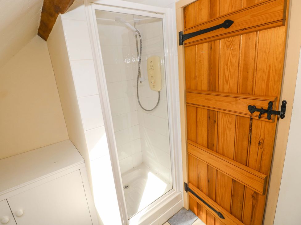 A shower with wooden door and white cabinet at Carreg Las in Haverfordwest