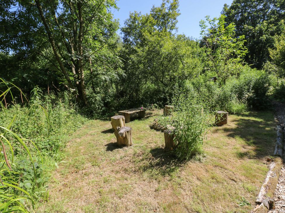 A garden area with tree stumps and grass at Carreg Las in Haverfordwest