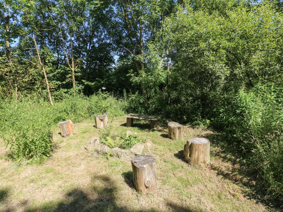 An outdoor seating area with wooden stumps and a bench in a forest at Carreg Las in Haverfordwest