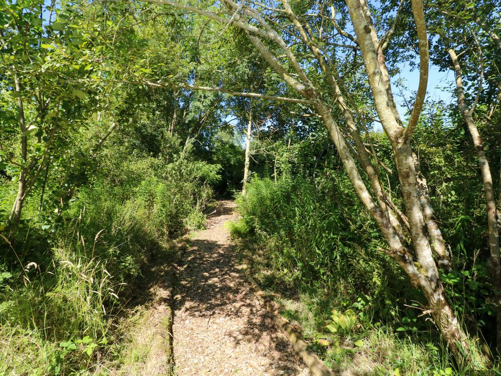 A pathway surrounded by trees and bushes in a natural setting at Carreg Las Haverfordwest