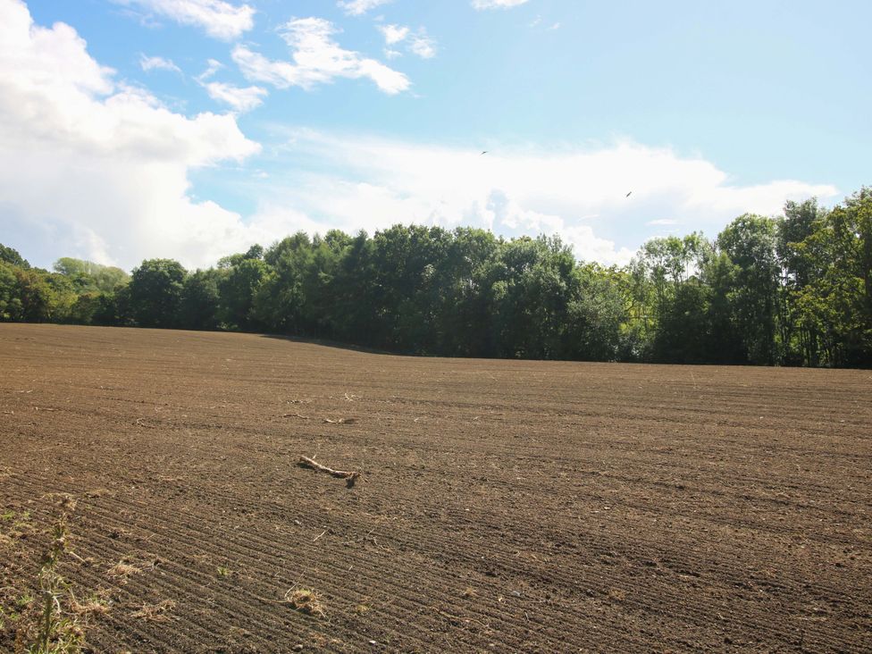 A field with trees in the background at Dingle in Cleobury Mortimer