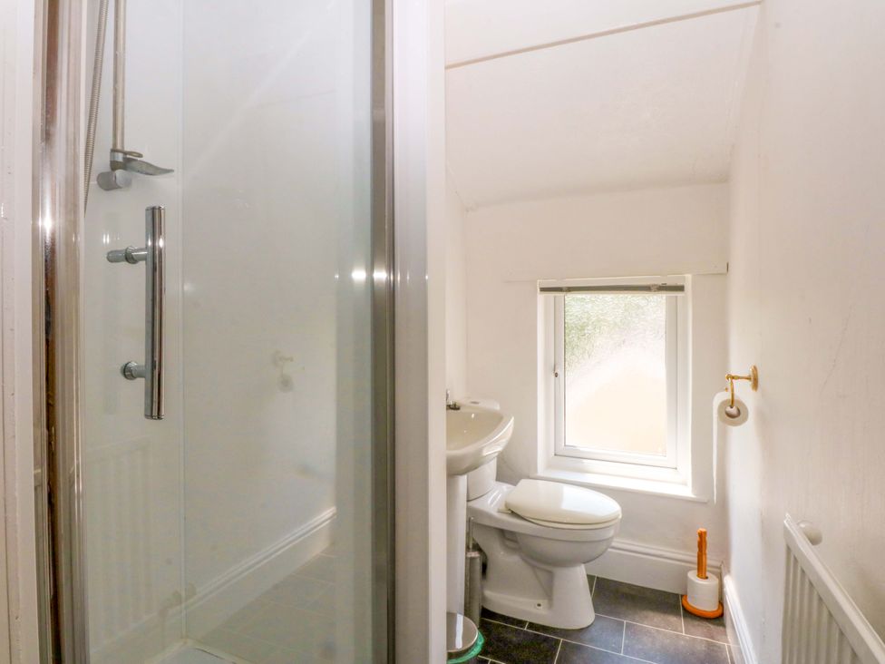 A bathroom with a shower, toilet, and sink at Disgwylfa in Sarn Mellteyrn
