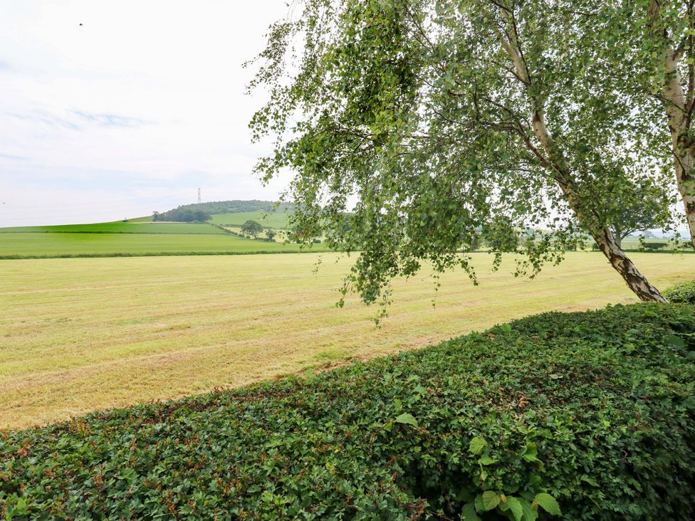 A field with a tree and hills at Plot 12 in Carlisle