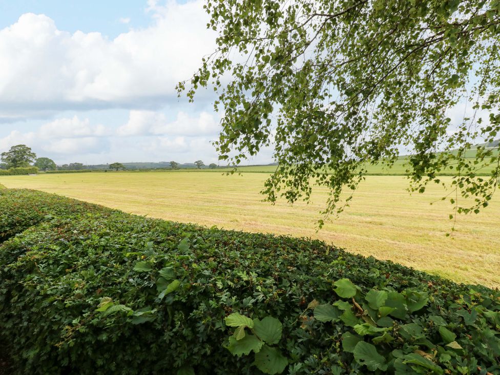 A field with grass and trees at Plot 12 in Carlisle