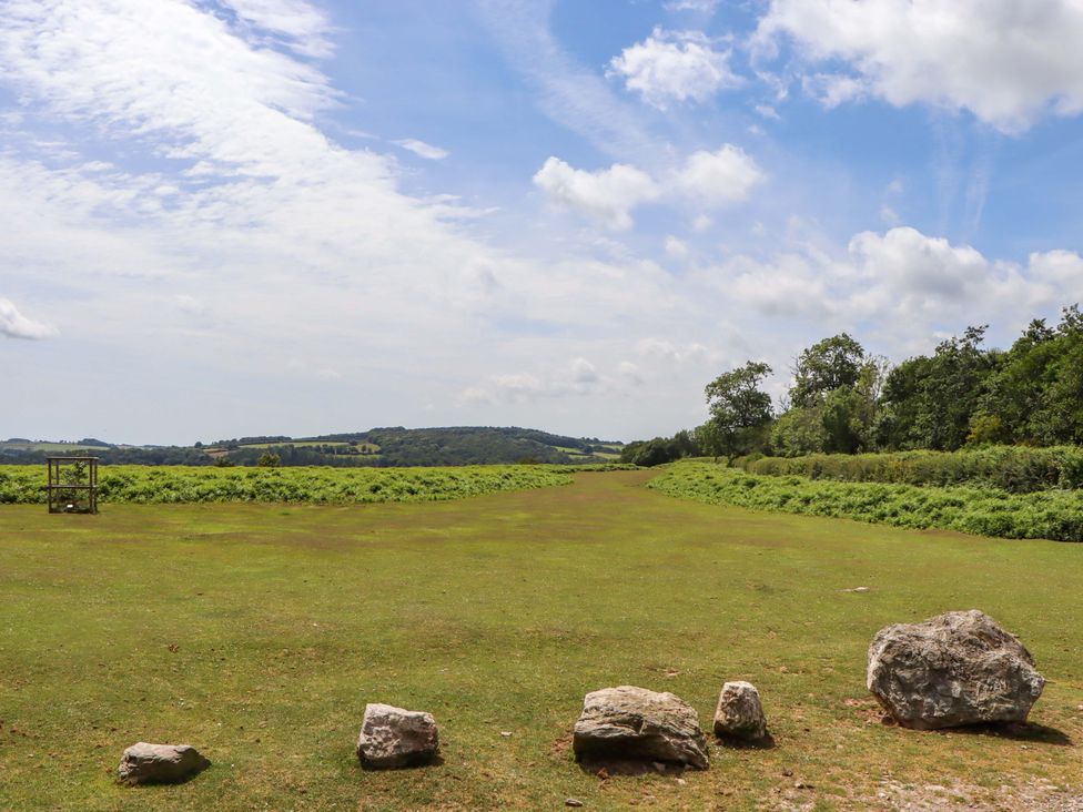 An outdoor area with grass, trees, and a wooden structure in Lower Walreddon Barn Tavistock