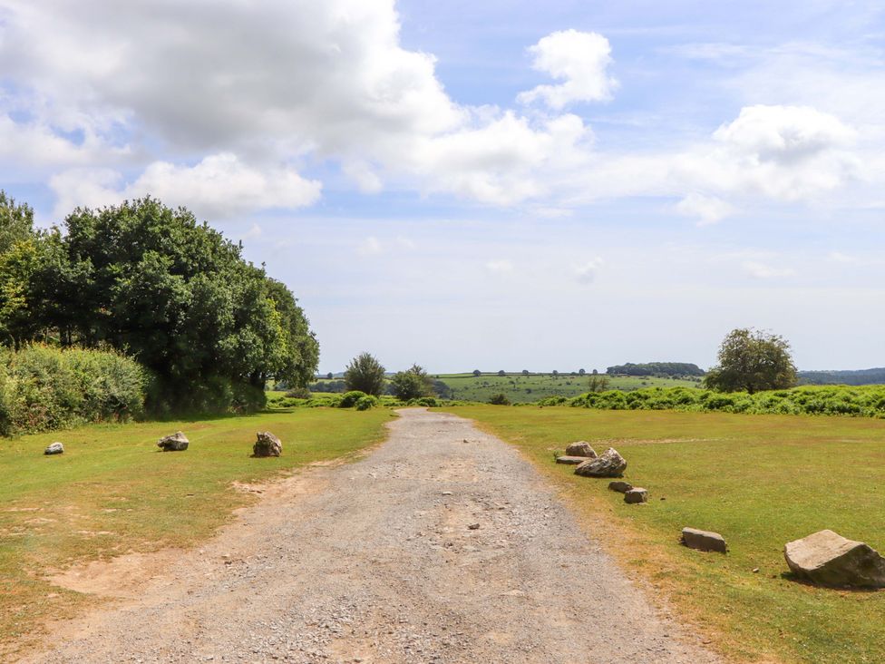 A gravel path lined with rocks and trees at Lower Walreddon Barn Tavistock