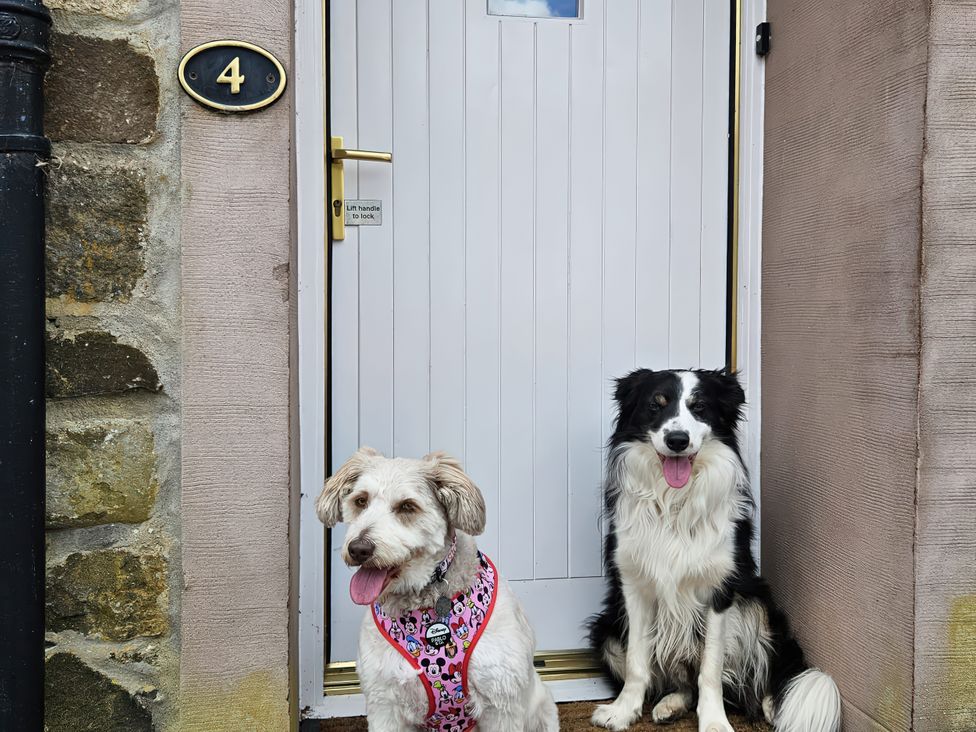 Two dogs sitting in front of a door at Coach House 4 Perth