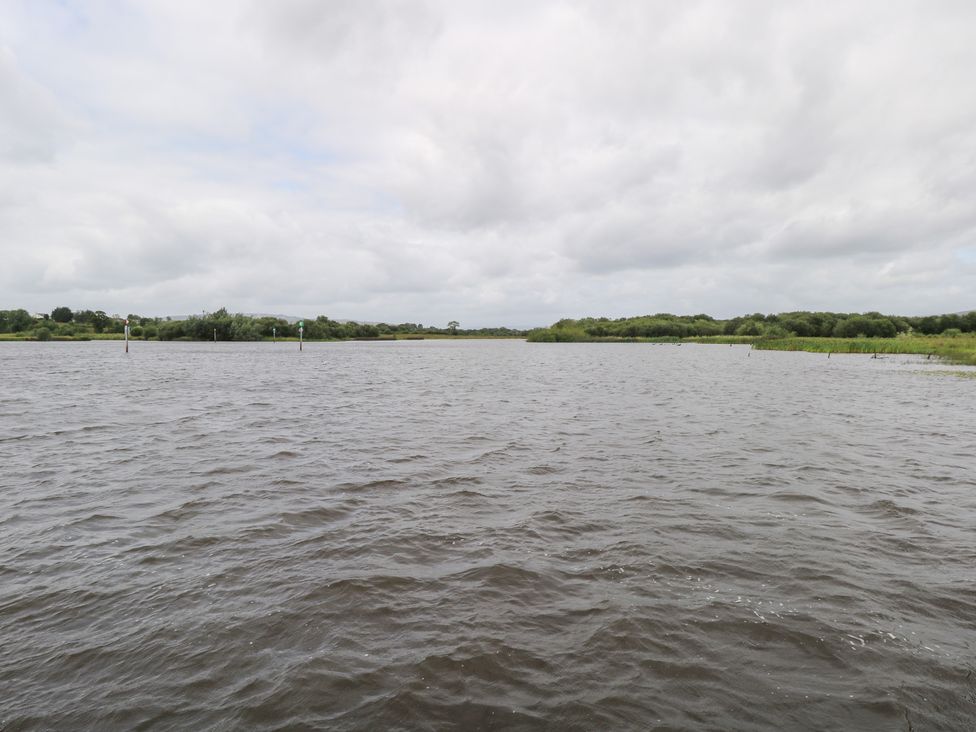 A river with vegetation and poles at The Cottage in Ballinagleira