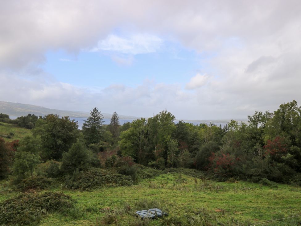 A landscape with trees and water at The Cottage in Ballinagleira