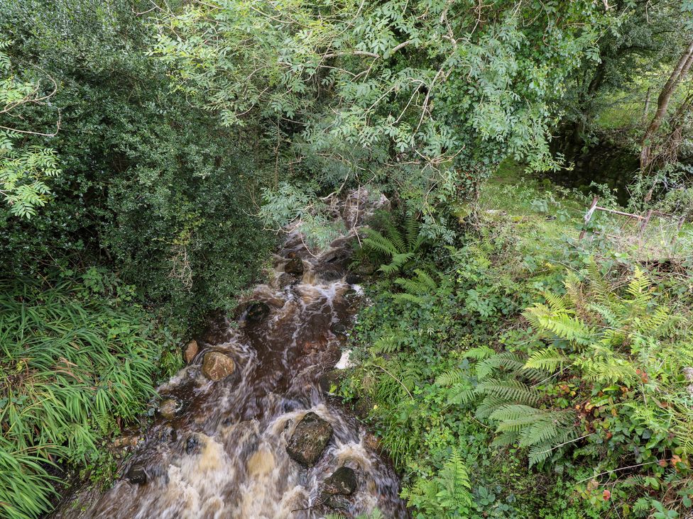 A stream flowing through rocks and greenery at The Cottage in Ballinagleira